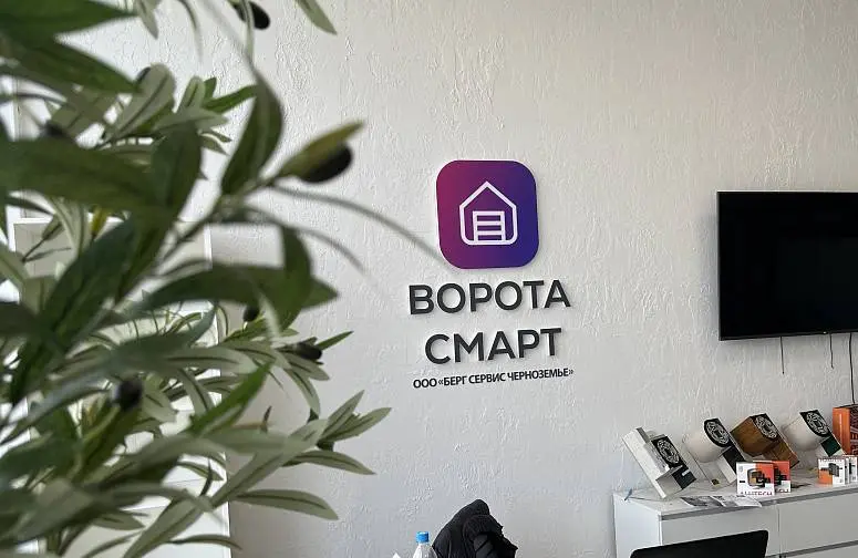 Ворота Смарт